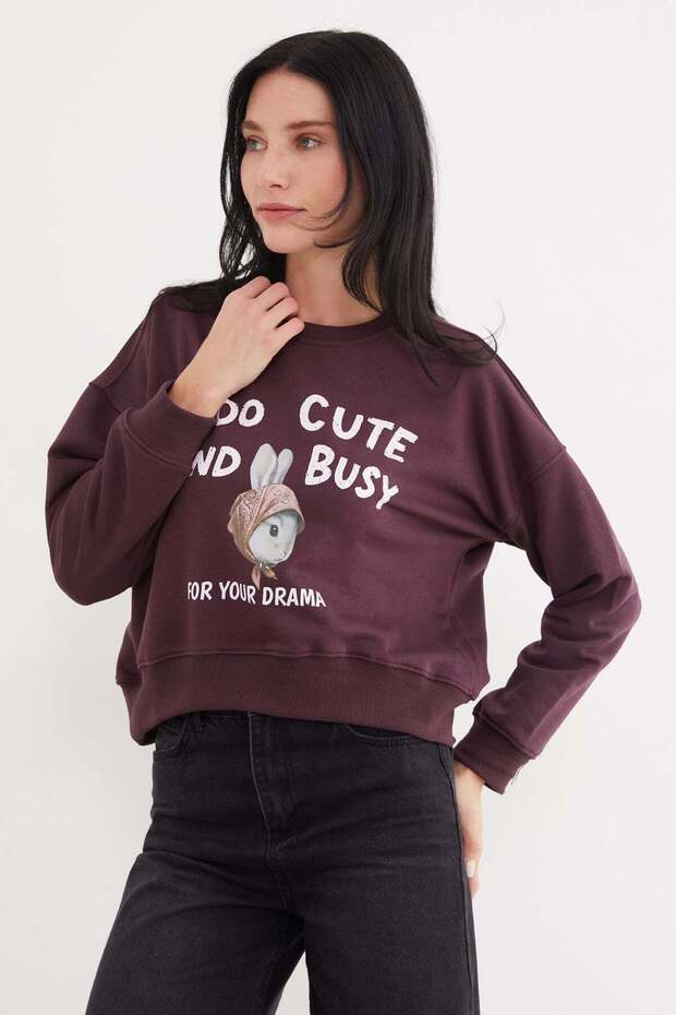 3 Threaded Unprinted Rabbit Printed Oversize Sweatshirt