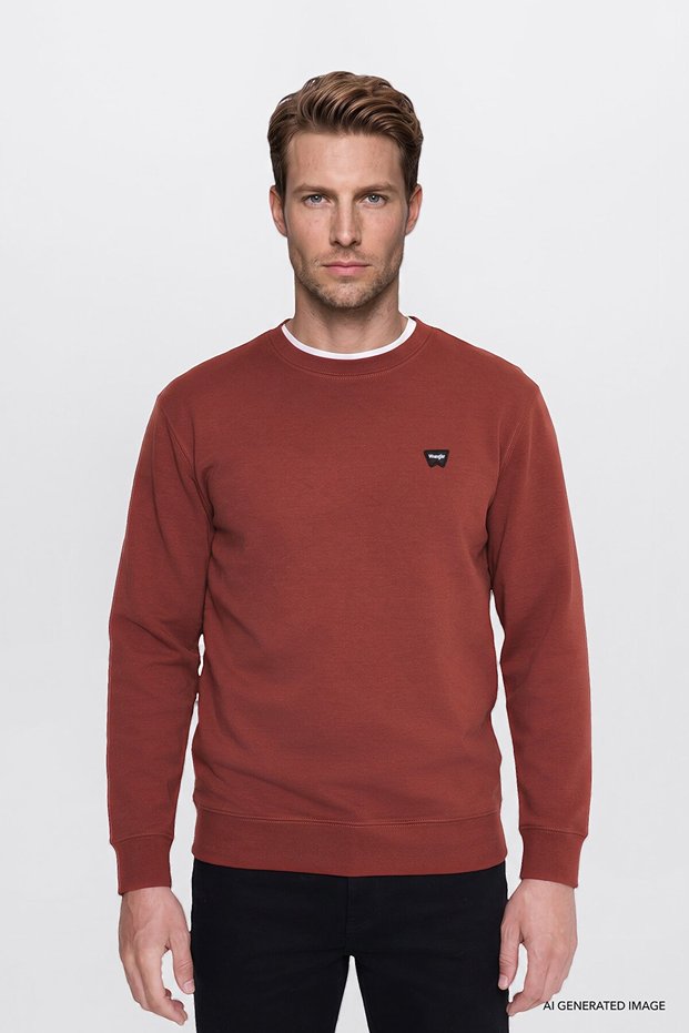 Burgundy Men's Sweatshirt Gw2520255