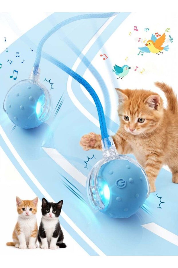 ألعاب كرات القطط