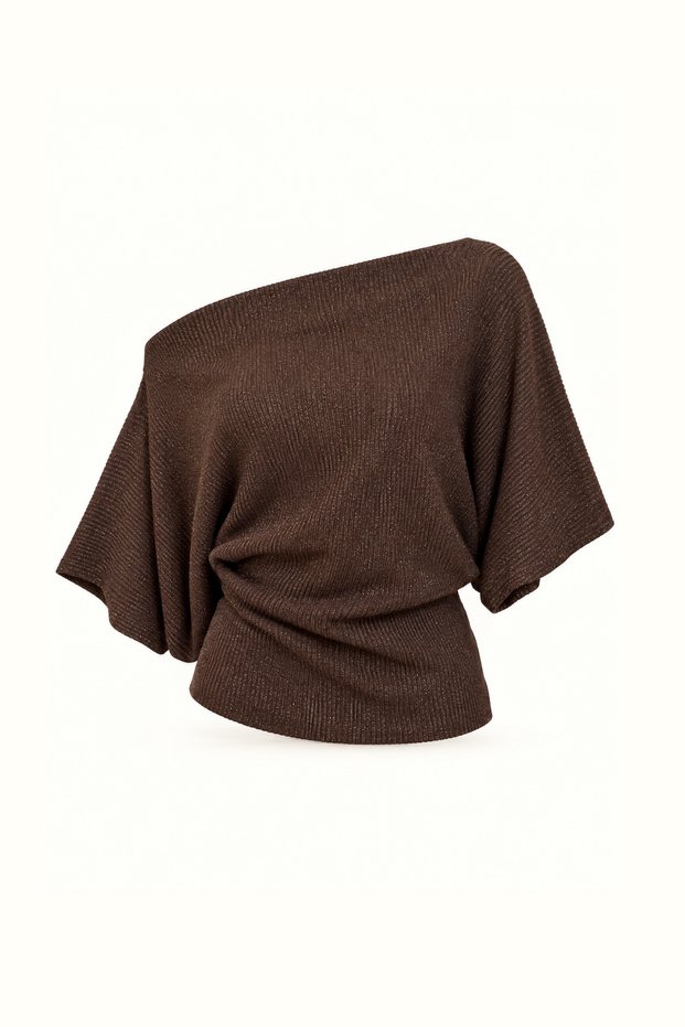 Silvery Boat Neck Brown Blouse