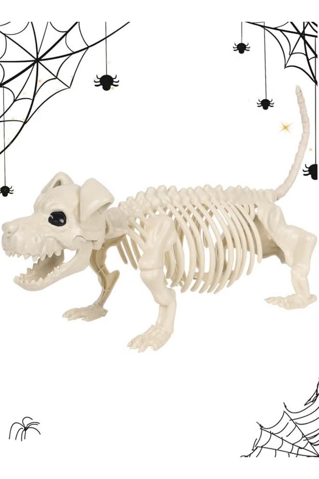 Halloween Dog Skeleton Decor, Realistic Plastic Puppy Skeleton Prop with Movable Jaw, 49cm Animal Bone Ornament for Haunted House, Graveyard, Indoor & Outdoor Halloween Yard Party Decorations