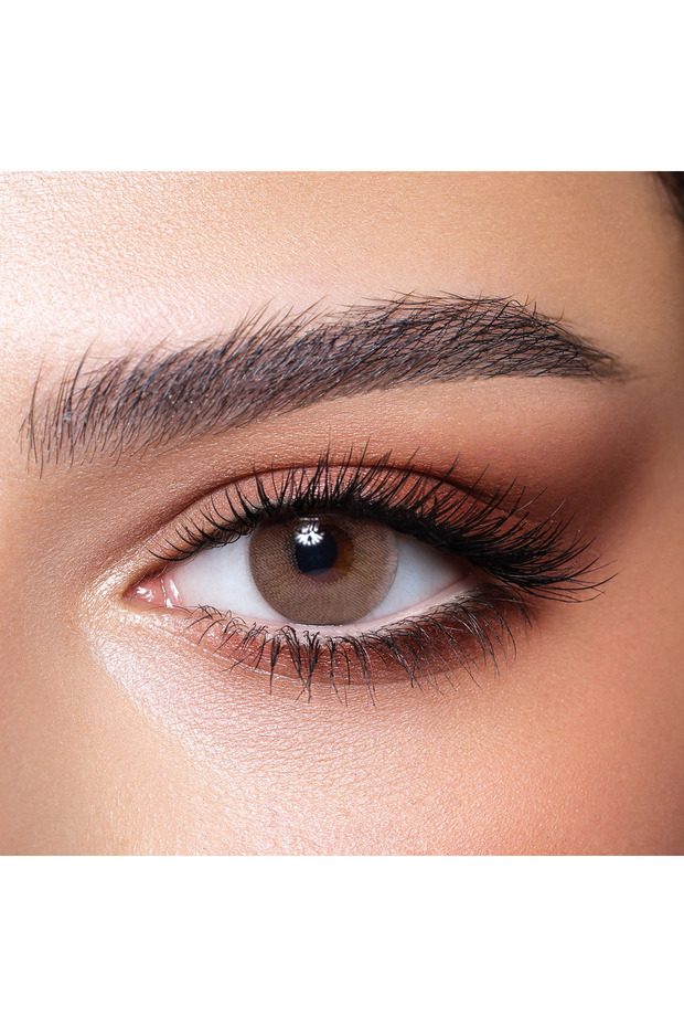 Elite Wild Honey Monthly Contact Lenses - Set of 2
