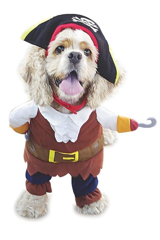 Pet Dog Cat Pirate Costume Pet Festivals Cosplay Funny Clothes Pet Dressing up Cosplay Party Costume with Hat for Theme Party
