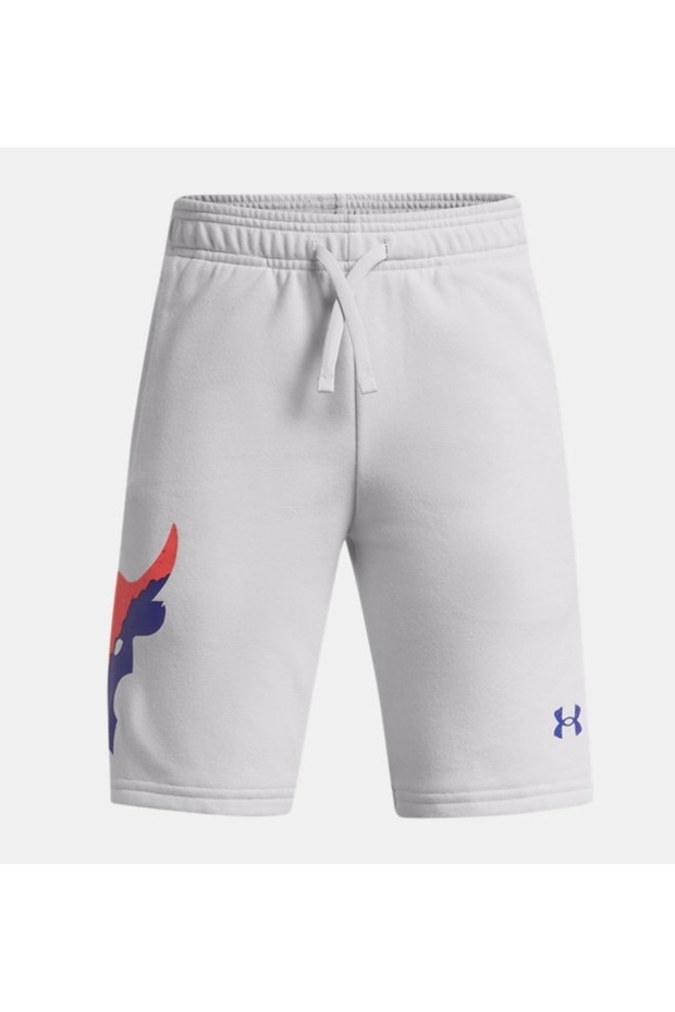 Boys' Shorts 1366885-014
