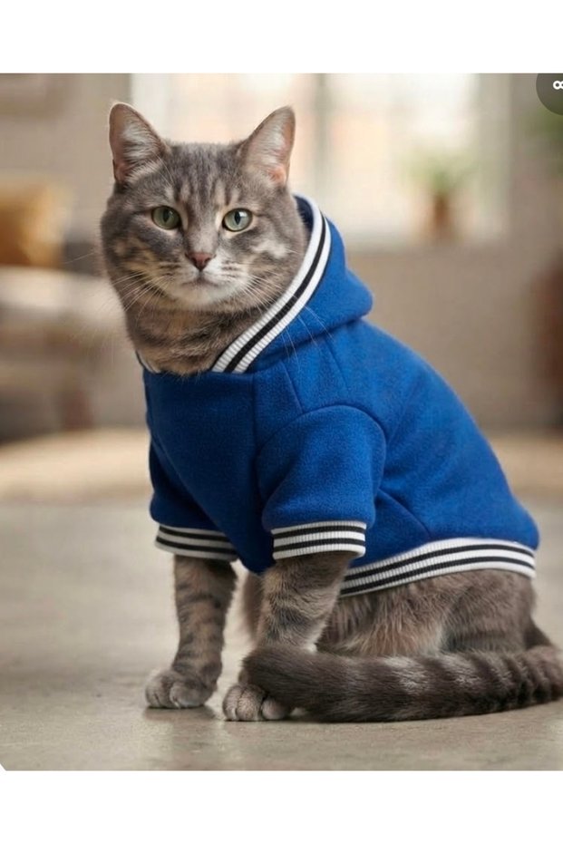 Cat Dog Outfit Fleece Sweatshirt