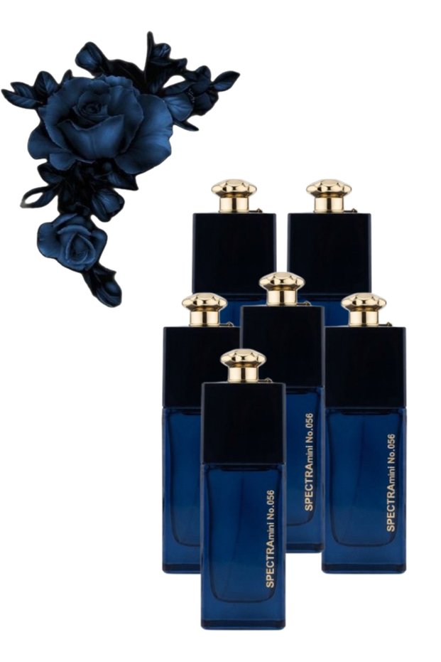 6 قطع No. 056 Perfume 25 مل