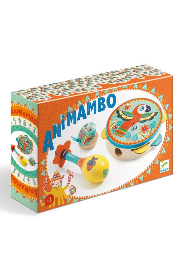 Set instrumente muzicale,