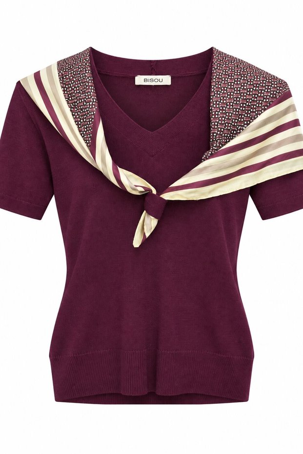 Fular Detailled V-Neck Tricot
