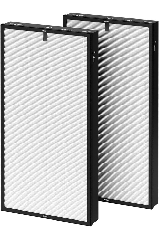 AP5881 High-Efficiency HEPA Filter Replacement Filters 2-Pack