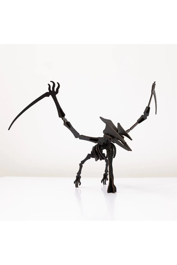 Puzzle Lemn 3D - Skeleton Pterosaur