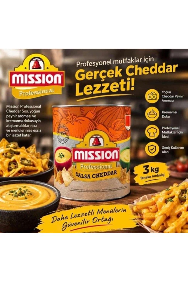 SALSA CHEDDAR çedar peynirİ