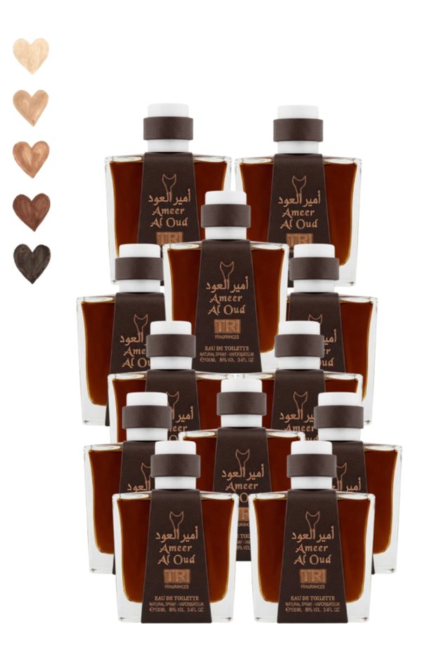 12 قطعة Ameer Al Oud عطر 100 مل