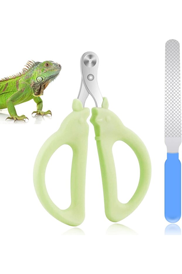 Pet Nail Clippers and File Set for Cats,Dogs,and Small Animals,Stainless Steel Trimmer with 2mm Safety Hole,Green