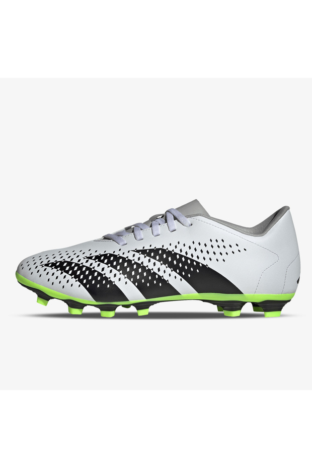 Predator Accuracy 4