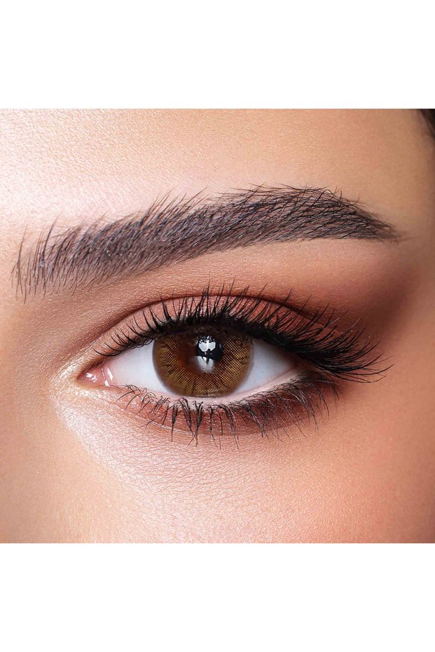 Hazel Honey Daily Contact Lenses - Set of 10