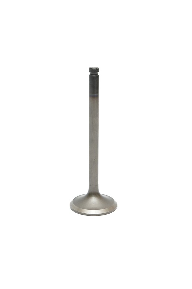 Massey Ferguson Intake Valve OEM Code 731151M1