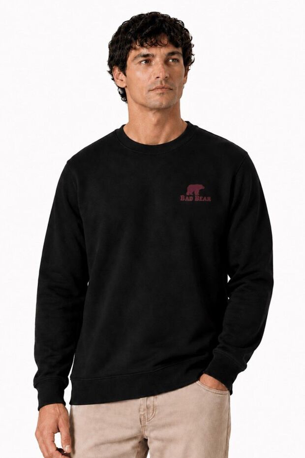 Aurora Men's Sweatshirt