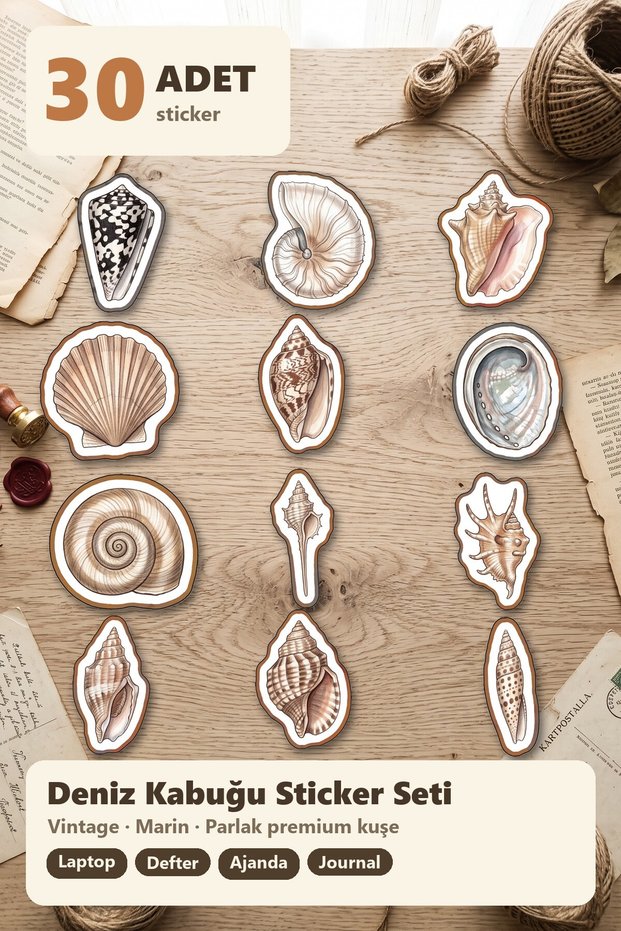 30 Pieces Classic Vintage Seashell Sticker Set - for Laptop, Notebook, Agenda