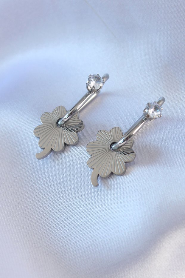 316L Steel Silver Color Zircon Stone Women's Migrant Earrings