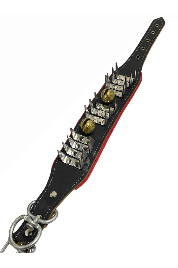 Puppy Kangal Shepherd Collar with 2 Bells 60 cm Genuine Buffalo Leather, Unbreakable and Non-Bending