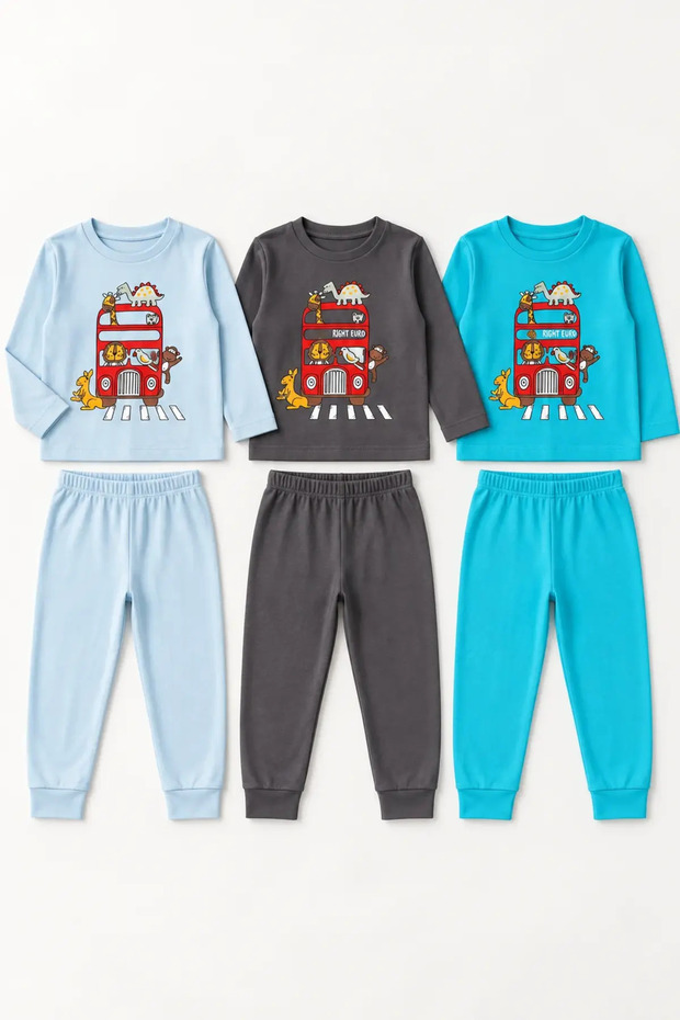 Boy's Top and Bottom Pajama Set
