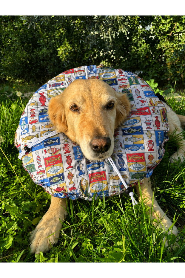 0.Rta-Büyük.Irk Dog Collar-Elizabeth Collar Operation Collar-Cat Neck Pillow-Xxl