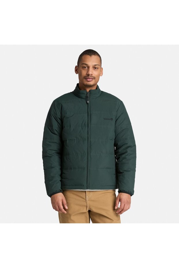 Axis Peak Dwr Puffer Men's Coat