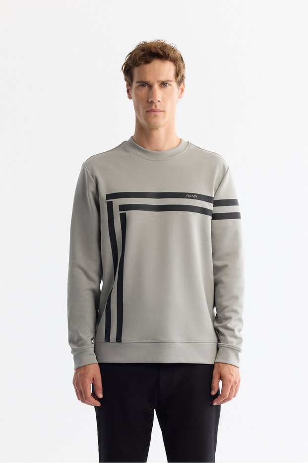Men's Gray Crew Neck Cotton Printed Elastane Regular Fit Sweatshirt A42Y1284