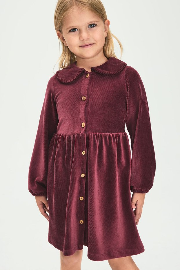Baby Girl's Velvet Dress with Collar (26 Wn)