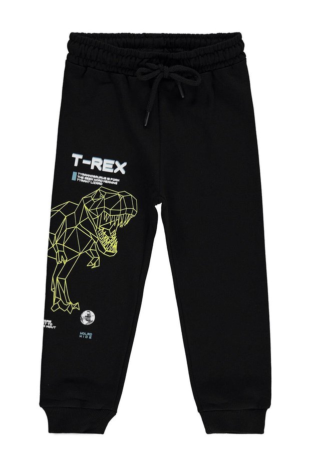 T-Rex Dinosaur Printed Sweatpants for Ages 2-7 - Black