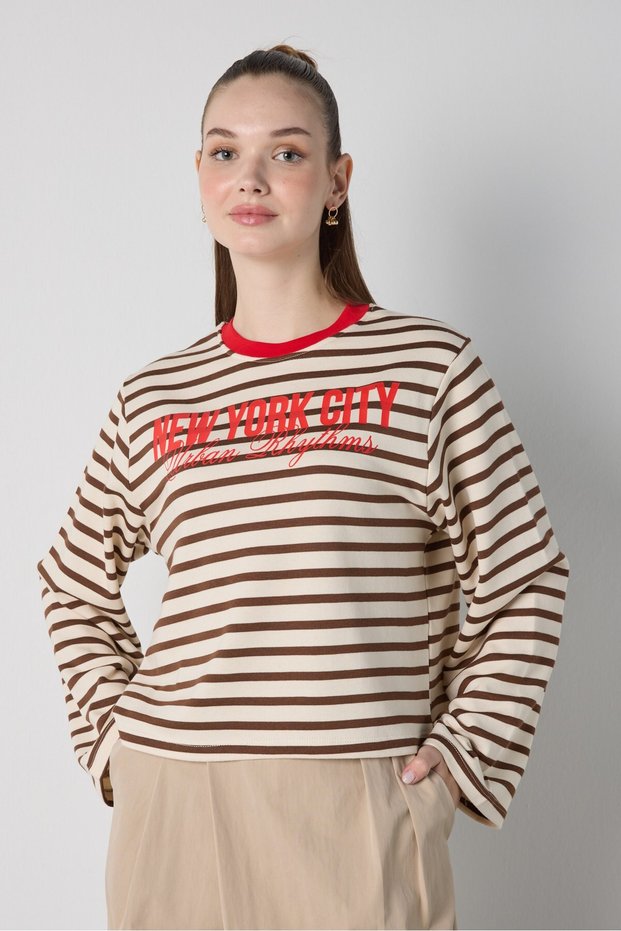 Women's Brown Crop Wide Sleeve Oversize Printed Striped Sweatshirt 32078