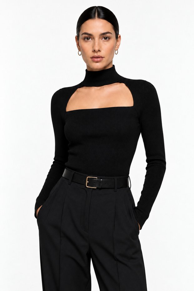 Women's Black High Neck Low-Cut Long Sleeve Slim Fit Camisole Blouse