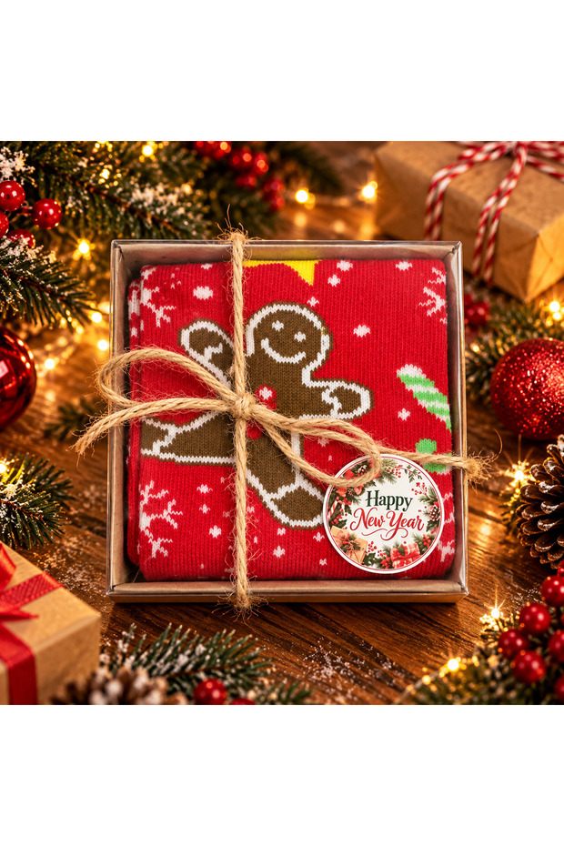 Christmas Socks in a Box - Christmas Gift - Socks in a Box