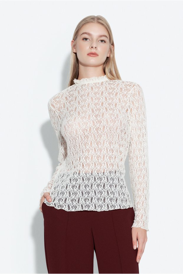 Lace Stand Collar Blouse