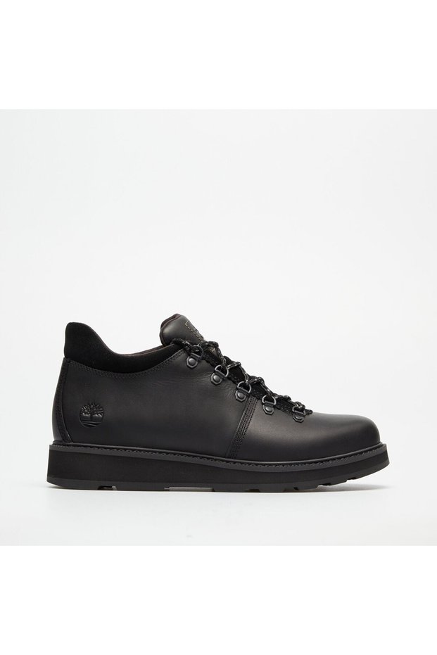 Britton Mills Lace up Men's Casual Shoes