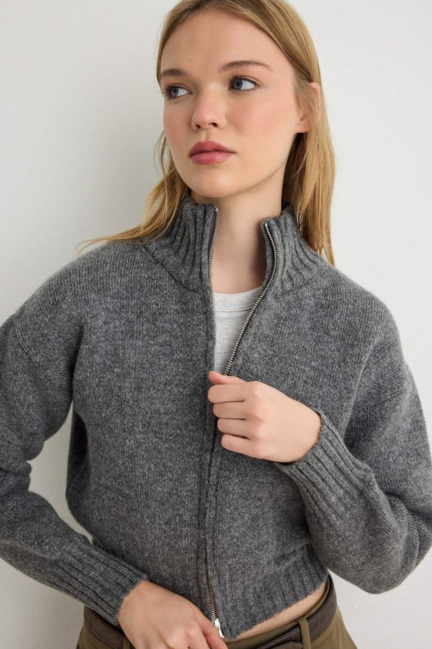 Anthracite High Collar Cropped Waist-Fitted Knitwear Cardigan Twoaw27Hi00192