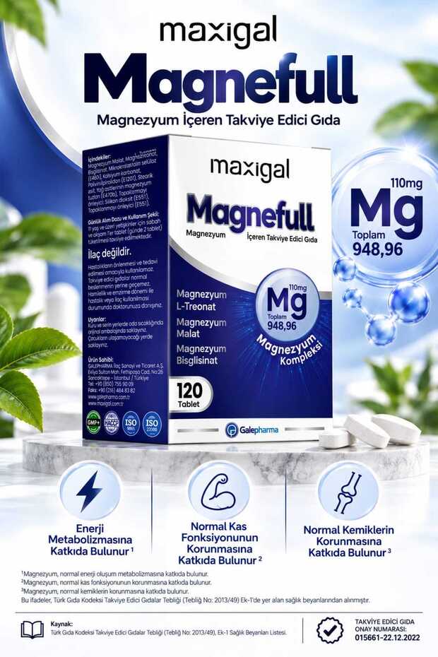 Magnefull Magnesium-Containing Supplement Food 120 Tablets