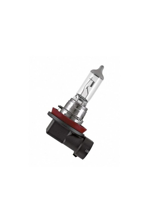 basic H11 12V 55W Halogen Bulb
