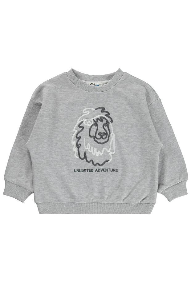 Lion Printed Sweatshirt for 2-5 Years Old - Gray