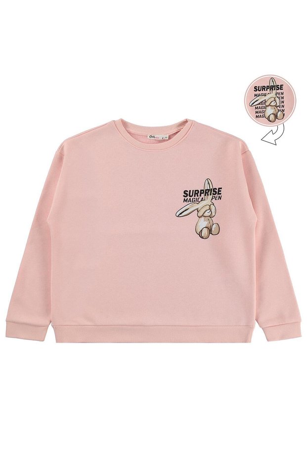 Rabbit Printed Sweatshirt for Ages 10-13 - Pink