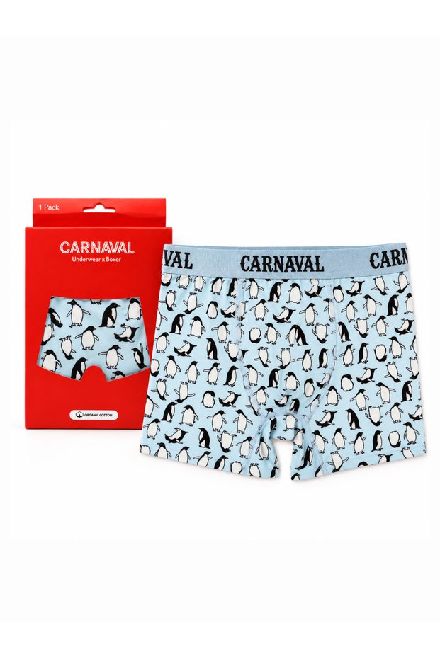 Penguin Patterned Men's Boxer Cotton Lycra Shiny Elastic Boxed Light Blue