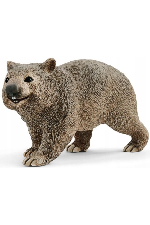 14834 Wombat