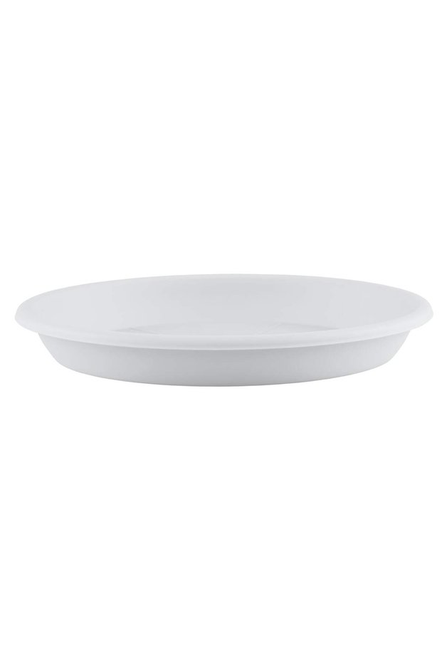 Plastic Round Plant Saucer (22 x 3 cm)