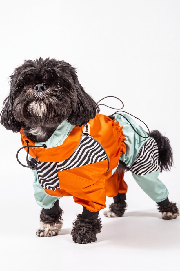 ™ Dry, Waterproof Dog Raincoat, Compatible with Collars and Harnesses, Reflective, Easy to Put On with a Zipper