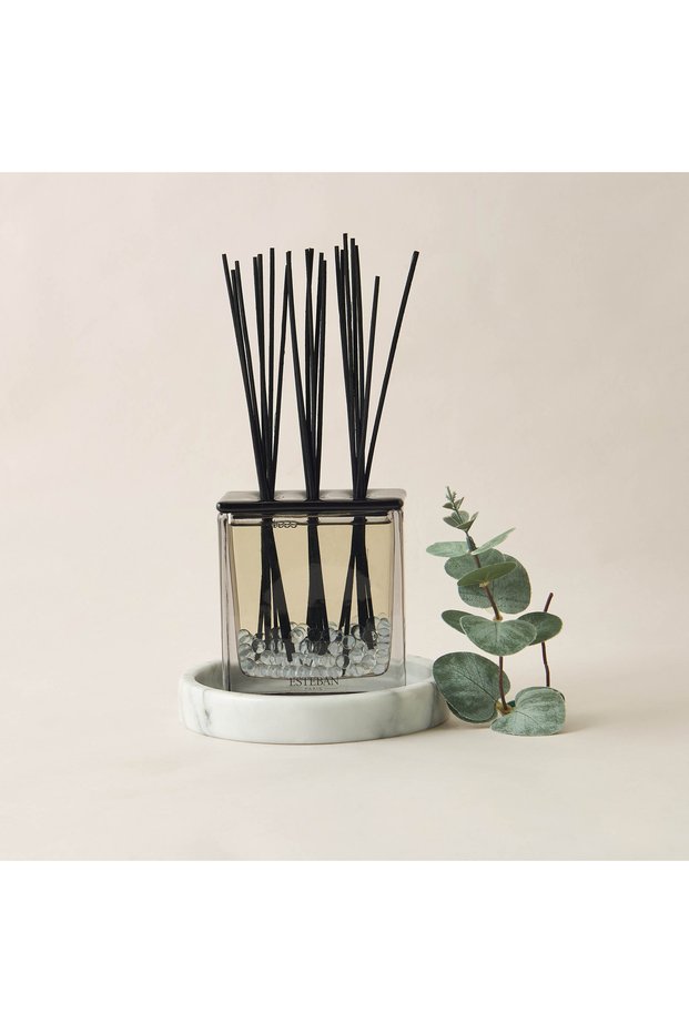 Iris Cachemire Scented Reed Diffuser Set - 250 ml