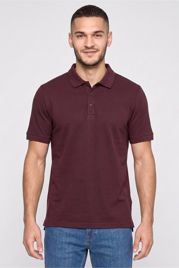 Men Regular Fit Short Sleeve Solid Polo Shirt, Burgundy