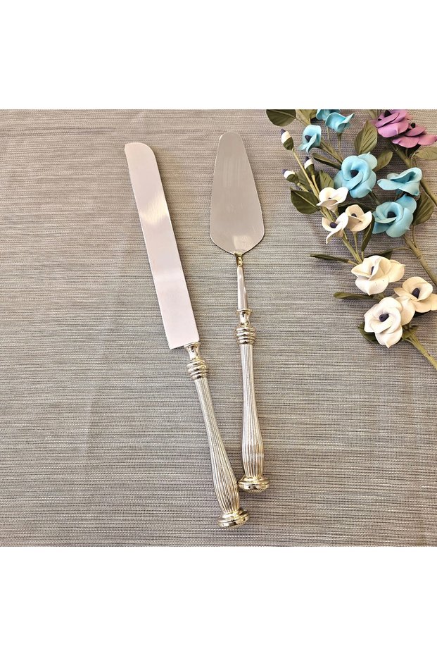 2-Piece Cake Serving Set with Silver Handle