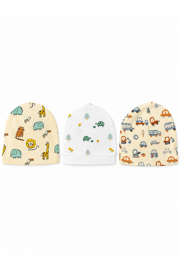 3-Piece Newborn Boy Beanie Set