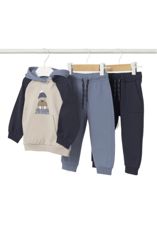 3-Piece Baby Boy/Child Set Hooded Sweatshirt and Two Long Sports Pants