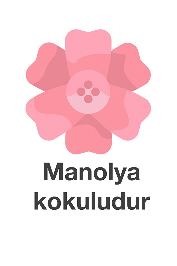 Maxi Pack Islak Mendil Manolya 144 Yaprak - 4